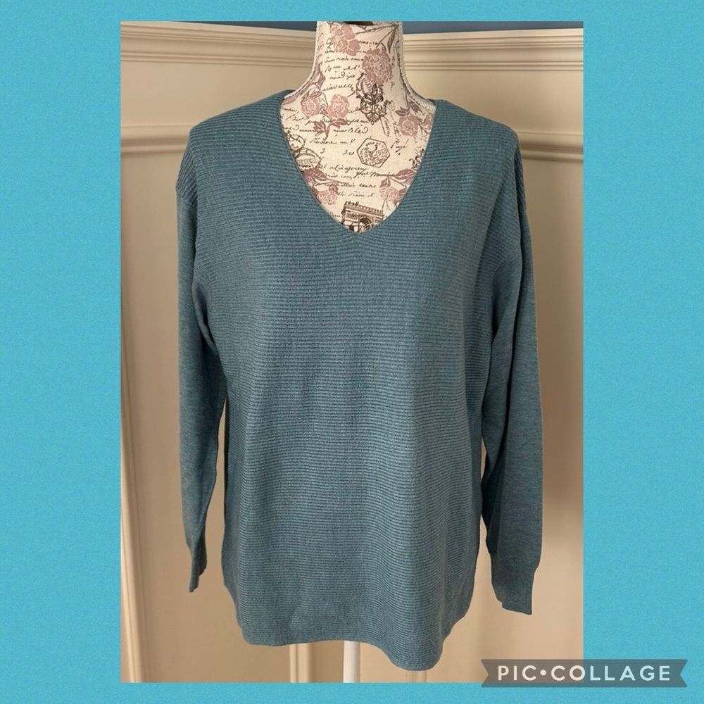 NWOT Ella Moss ribbed sweater